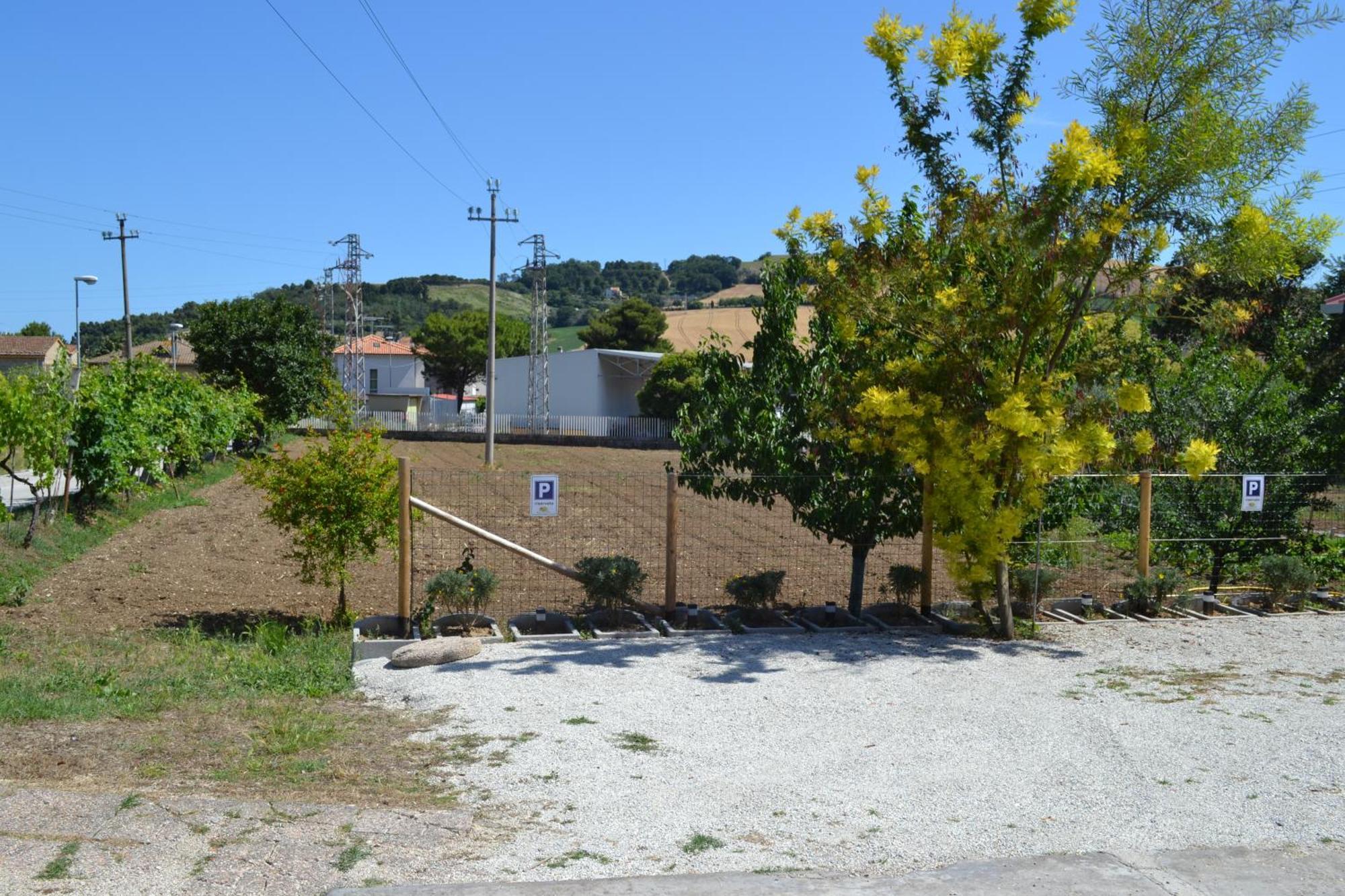 Casa Degli Ulivi - Apartment B Porto San Giorgio Kültér fotó